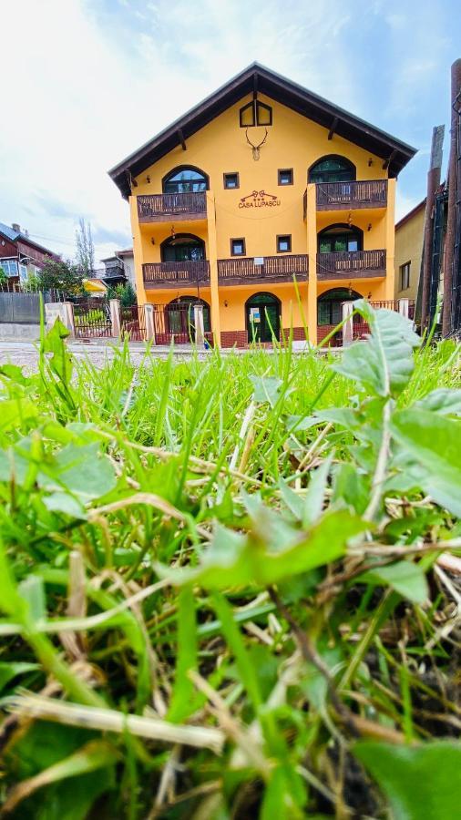 Casa Lupascu Hotel Vatra Dornei Exterior photo
